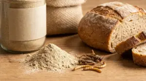 Farina di insetti con pane, grilli e larve su un tavolo in legno